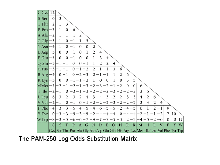 “PAM250 log odds”