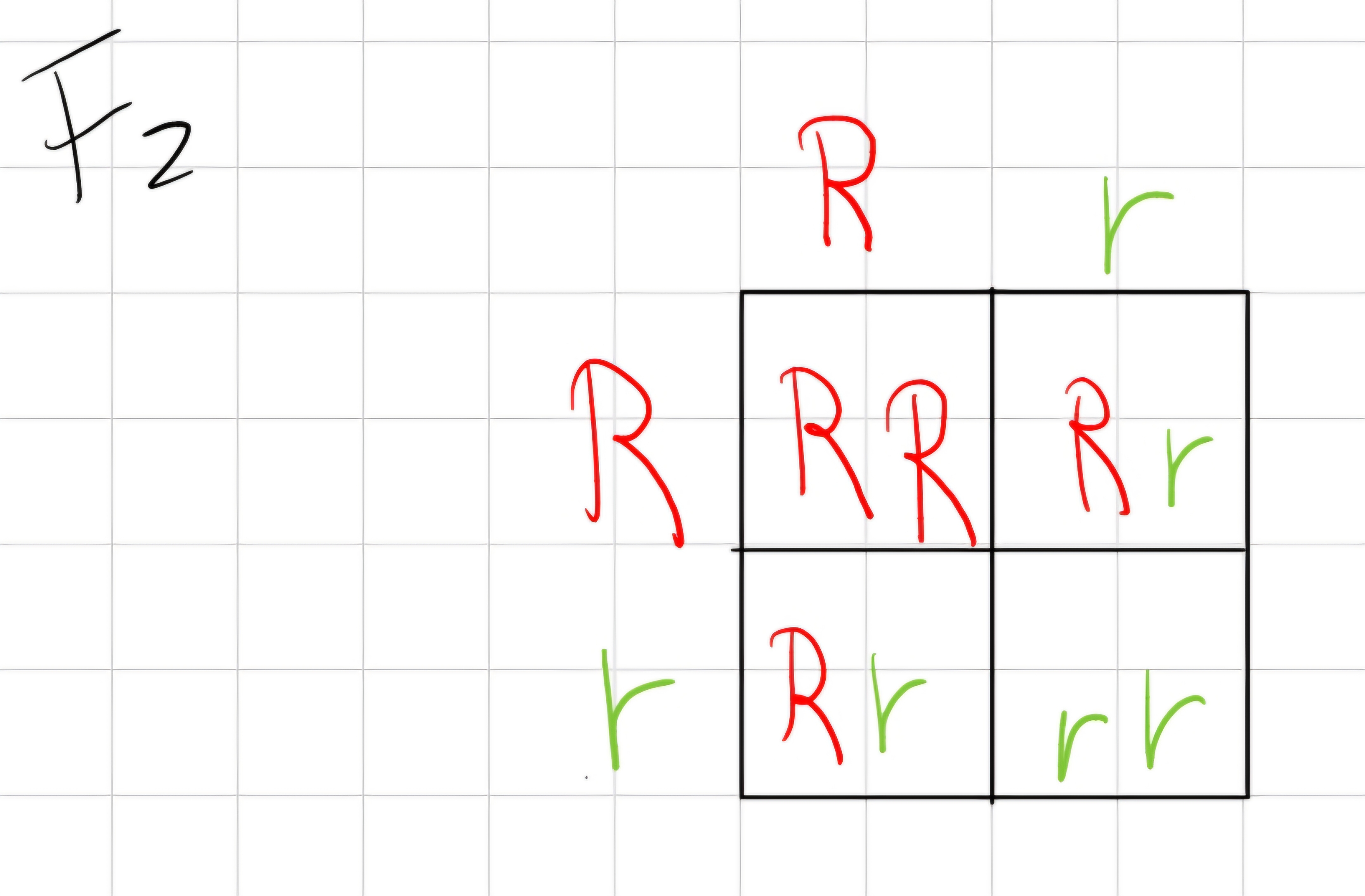 “Second generation”